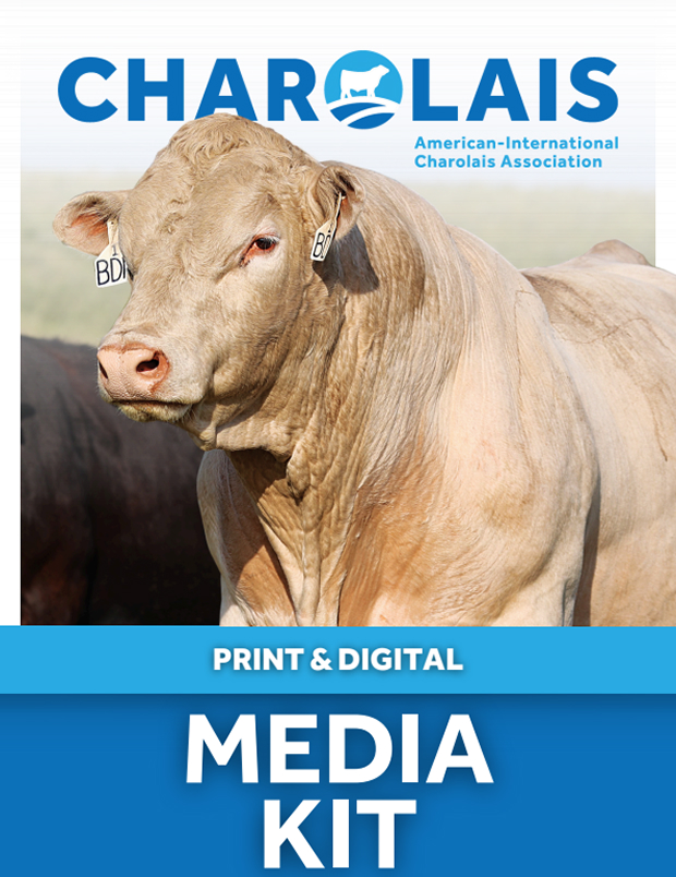 Media Kit