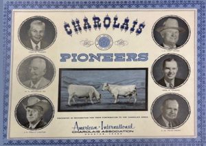 timeline-pioneers