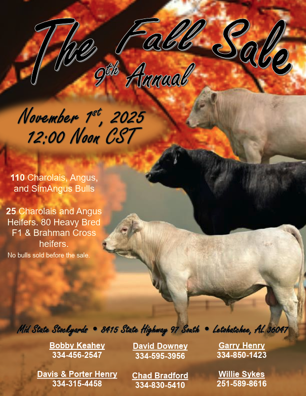 The Fall Sale